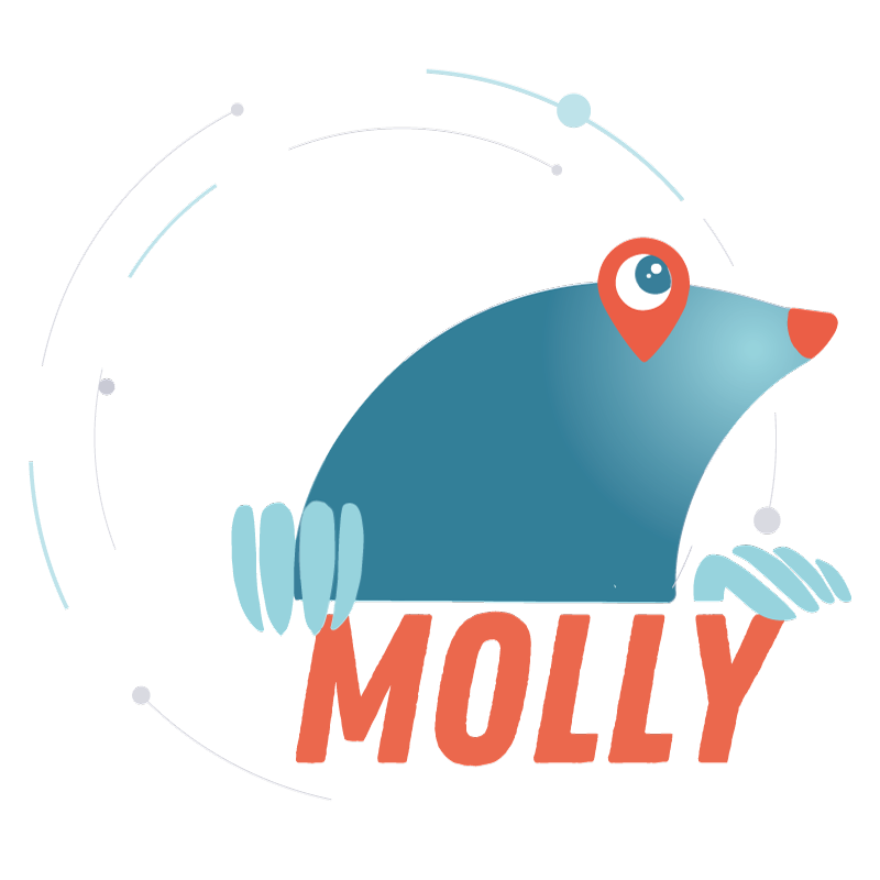 Molly è il prodotto di Wikom per gestire le mappe grafiche interattive